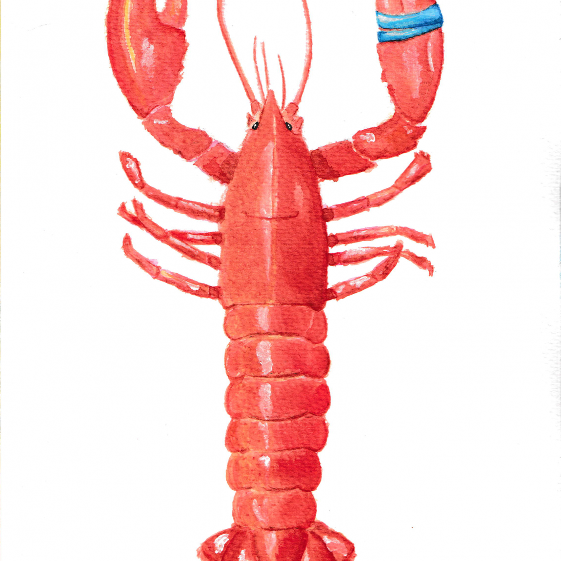 Hazal Türer - Lobster - Suluboya - 27x19 - 1750 ₺ + KDV