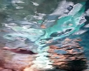 Filiz Tılhaslı / Forex baskı Kompozisyon öyküsü / Deniz Ebrusu / limitli özgün baskı / Sanatçı imzalı / 2.000 ₺ + KDV